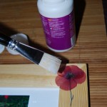 cadrecoquelicots (16)