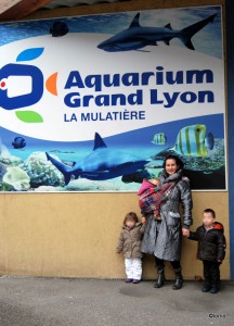 2010-01-29-aquarium (1)