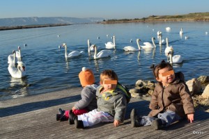 esteou (4)