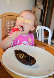 aubergines (10)