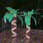 palmiers mandrins-016